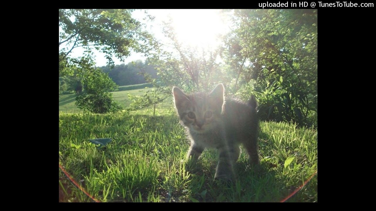 This beat has found you for a reason