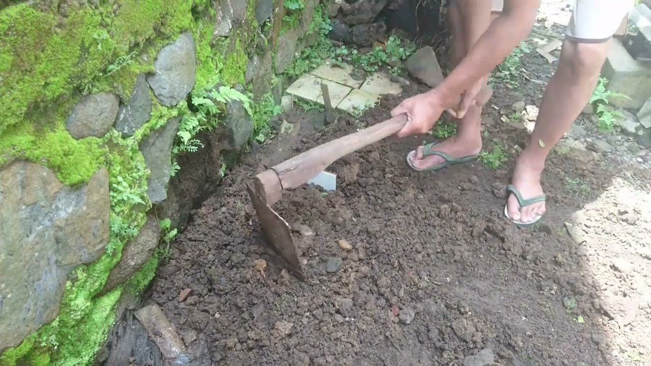RIP Mowi :(