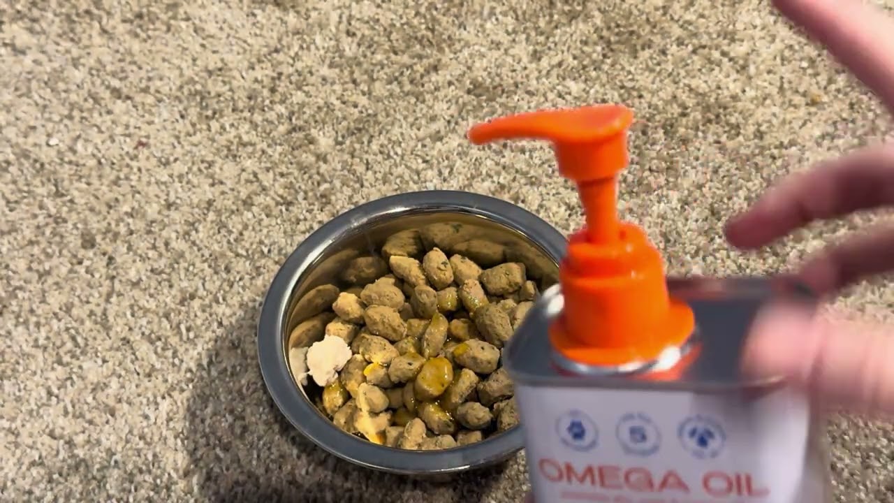 What To Know Before Buying This Dog Supplement!