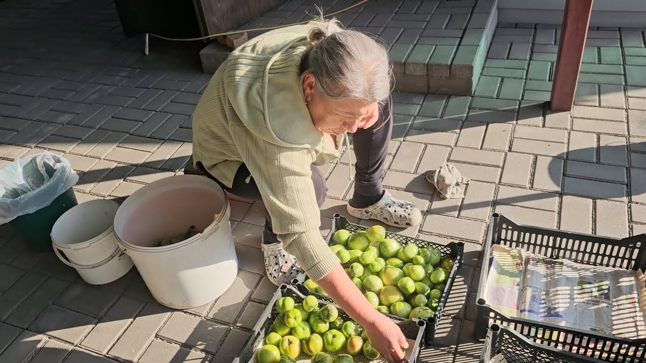 Разобрали огород