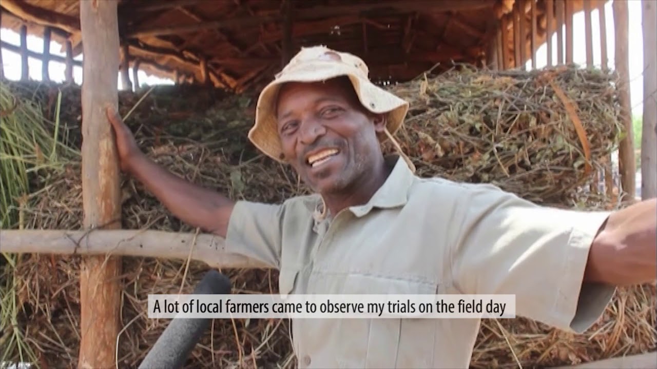 Nkayi Success Stories
