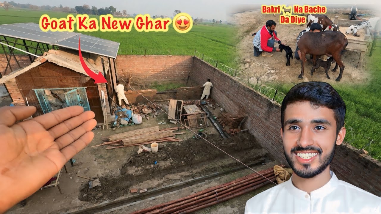 Goats Ke New Home Ka Kaam Start Ho Gaya 😍 New Bakri Ne Bache Da Diye 🥰