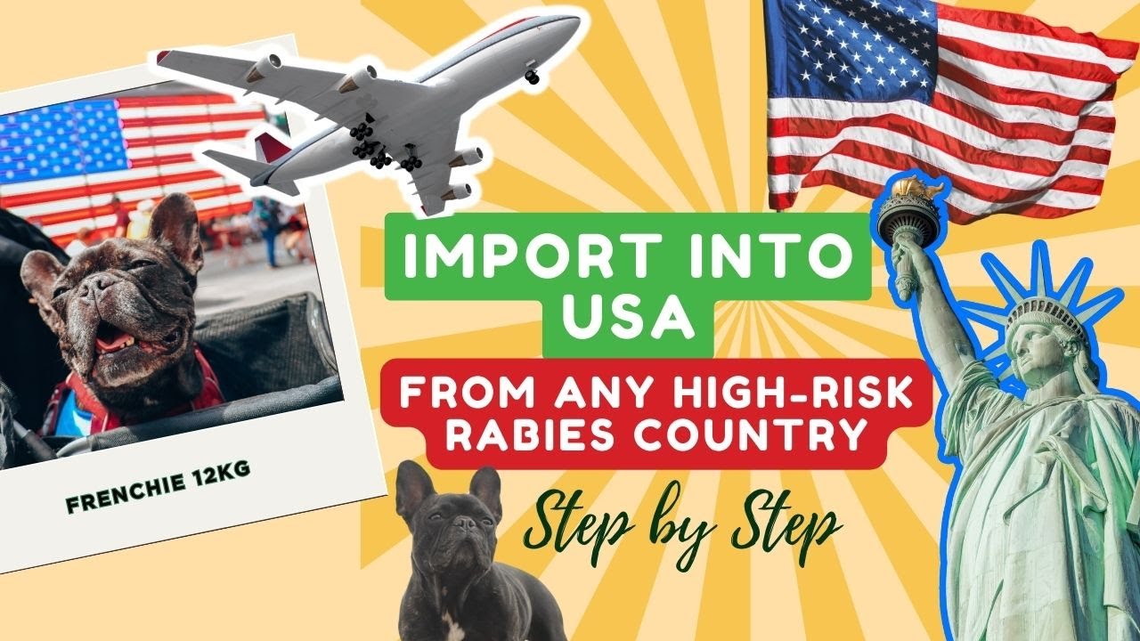 Как импортировать собаку в США из страны с высоким риском бешенства? Требования и пошаговая инстр...