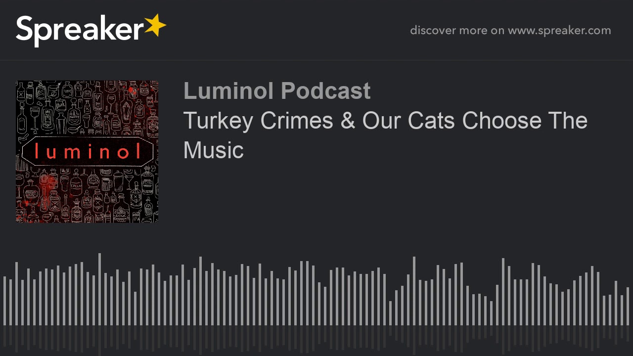 Turkey Crimes & Our Cats Choose The Music (part 2 of 4)