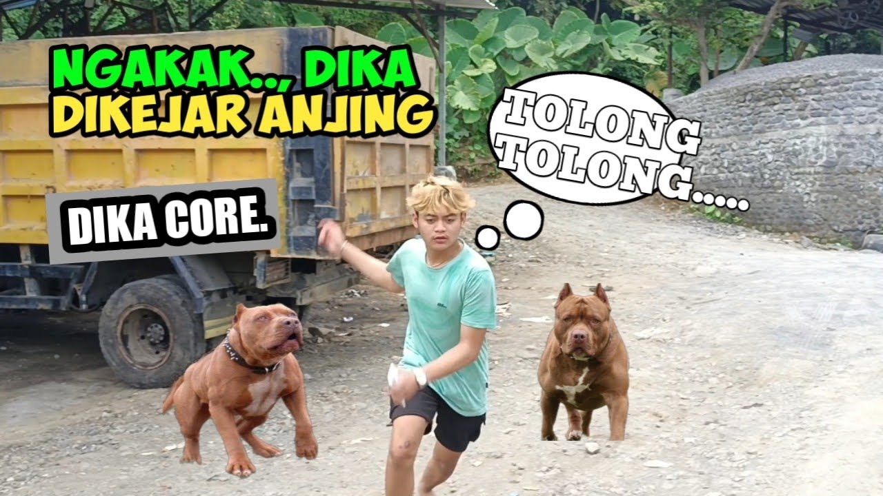 NGAKAK PARAH  DIKA LARI TER BIRIT2  DI KEJAR ANJING 🤣🤣🤣 DIKA CORE