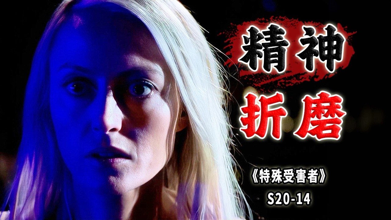 溫柔妻子的殺夫案！精神折磨的痛苦不亞於肉體傷害《Special Victims Unit》