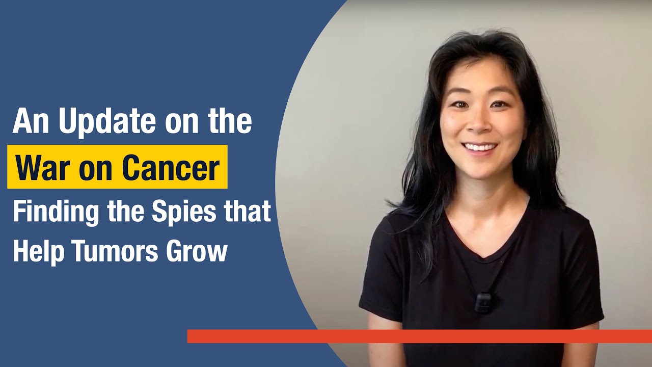 An Update on the War on Cancer: Finding the Spies that Help Tumors Grow