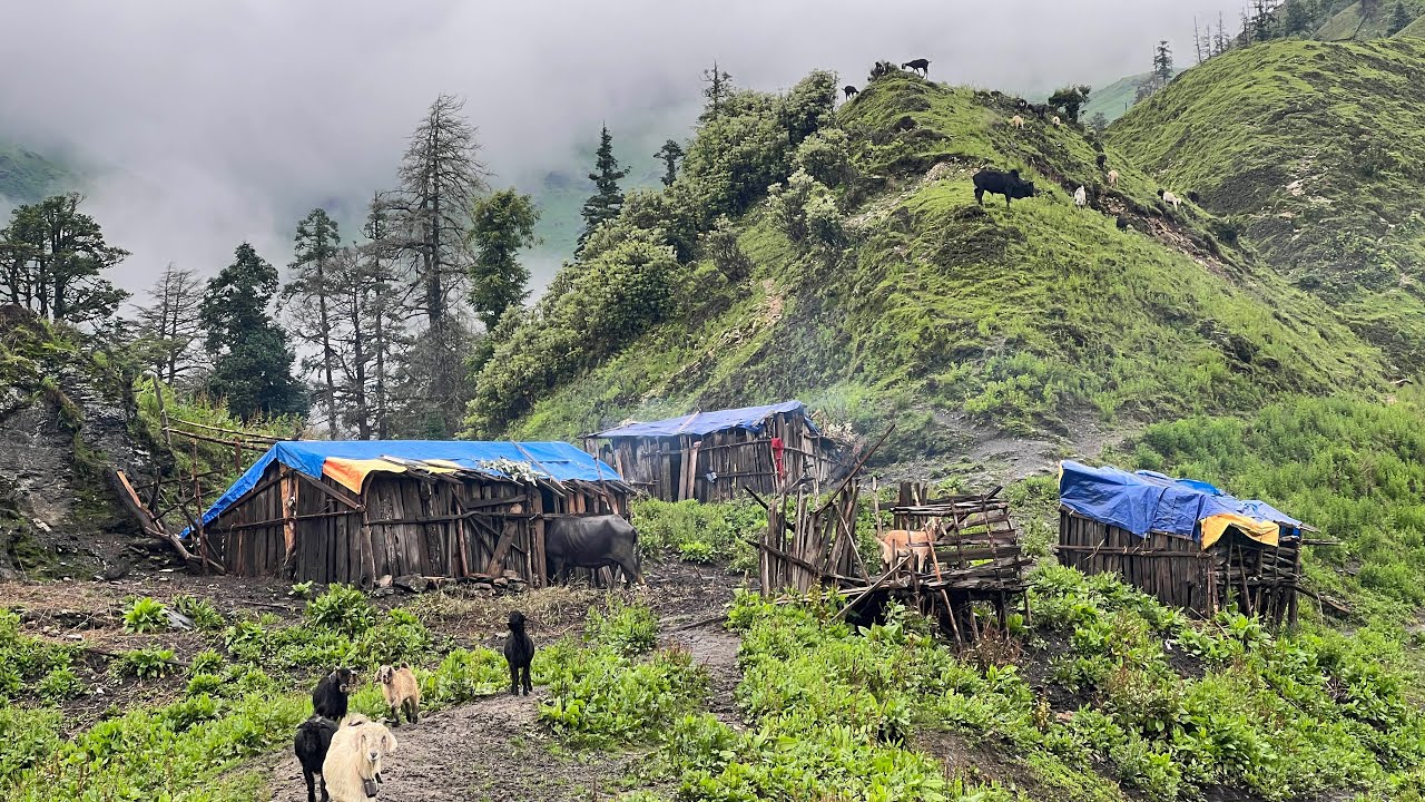 Very Relaxing and Peaceful Nepali Mountain Village Life || Simple Nepali Life in Rain || IamSuman