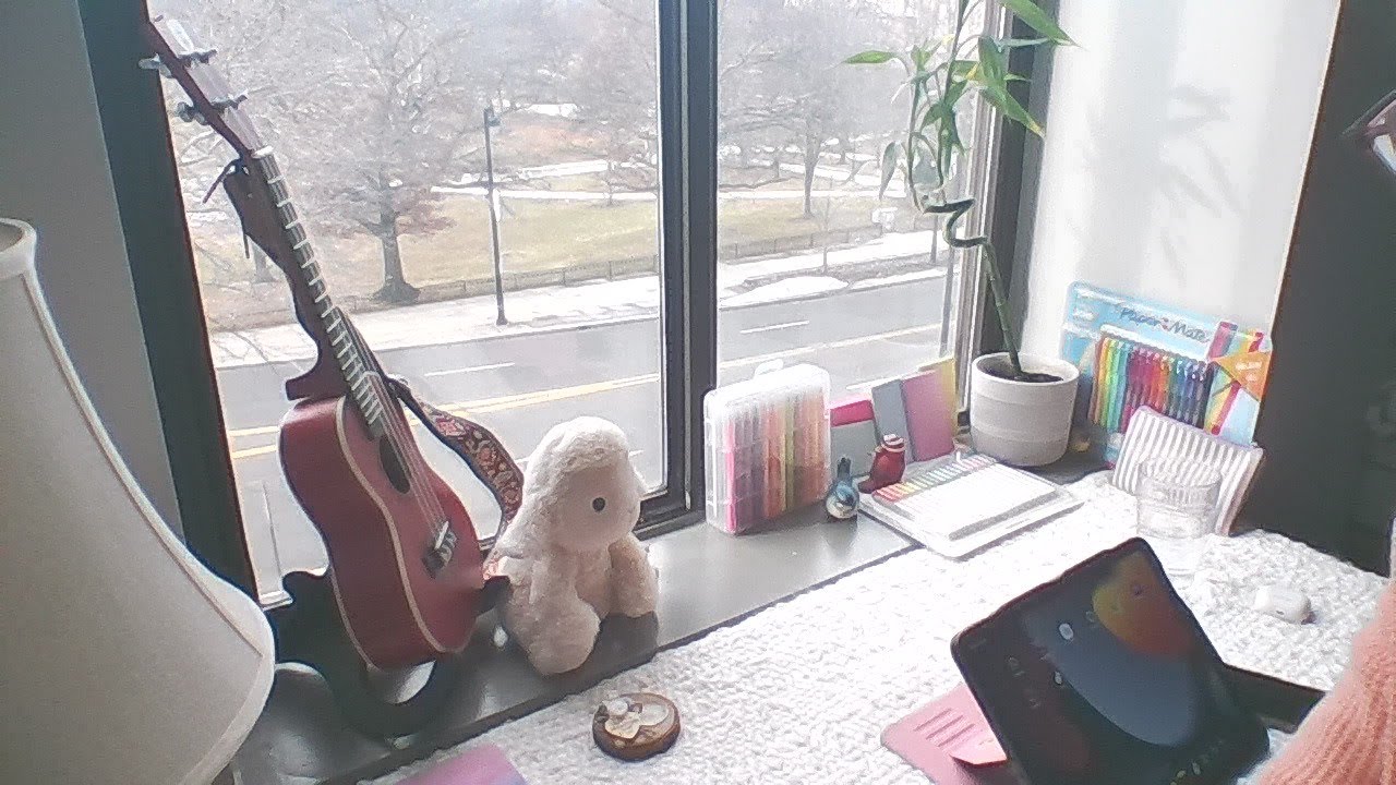 Study with me livestream now