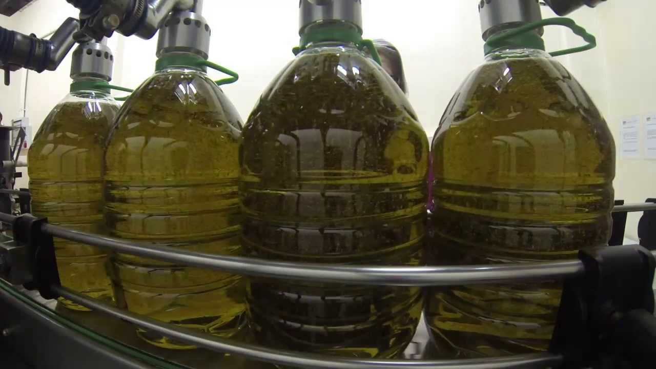 Envasado Aceite de Oliva Vírgen Extra - Cooperativa de Viver - Bienvenidos al Campo