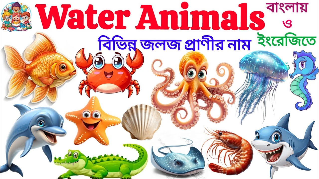 Water Animals | বিভিন্ন জলজ প্রাণীর নাম| Water Animals Name In English With Picture 