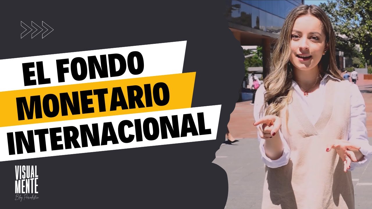 ¿Qué es el Fondo Monetario Internacional? - Visualmente