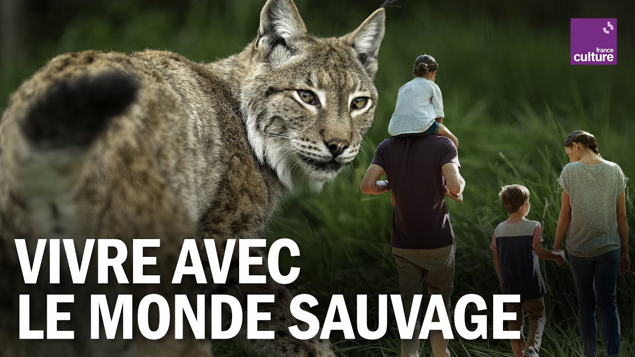 Ours, loups, lynx : vivre avec LE MONDE SAUVAGE à nos portes !
