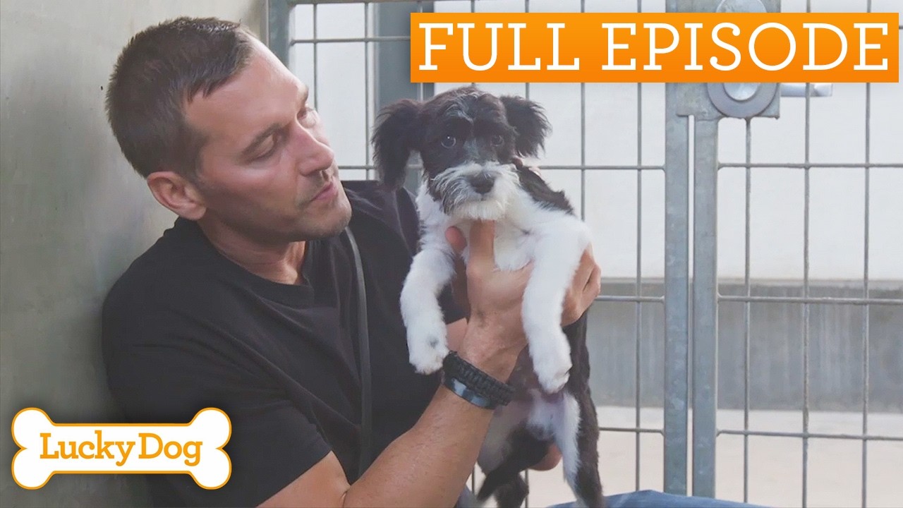Abandoned Puppy Brings Joy To Empty Nesters | Full Episode S5 E15