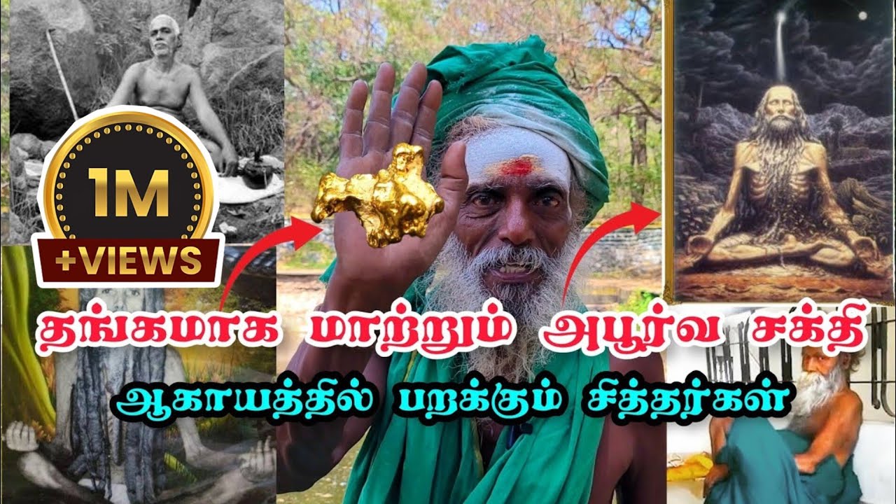 😱சித்தர்கள் நடத்திய அதிசயங்கள்🧎‍♂️🙏 திருவண்ணாமல🕉 #siddhar #Tiruvannamalai #sithargal #sithar #god