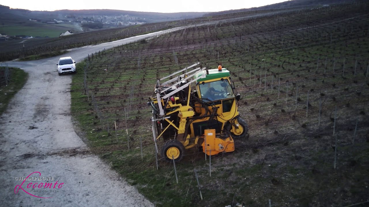 Vidéo de drone du broyage de sarments de vigne avec l'enjambeur en champagne
