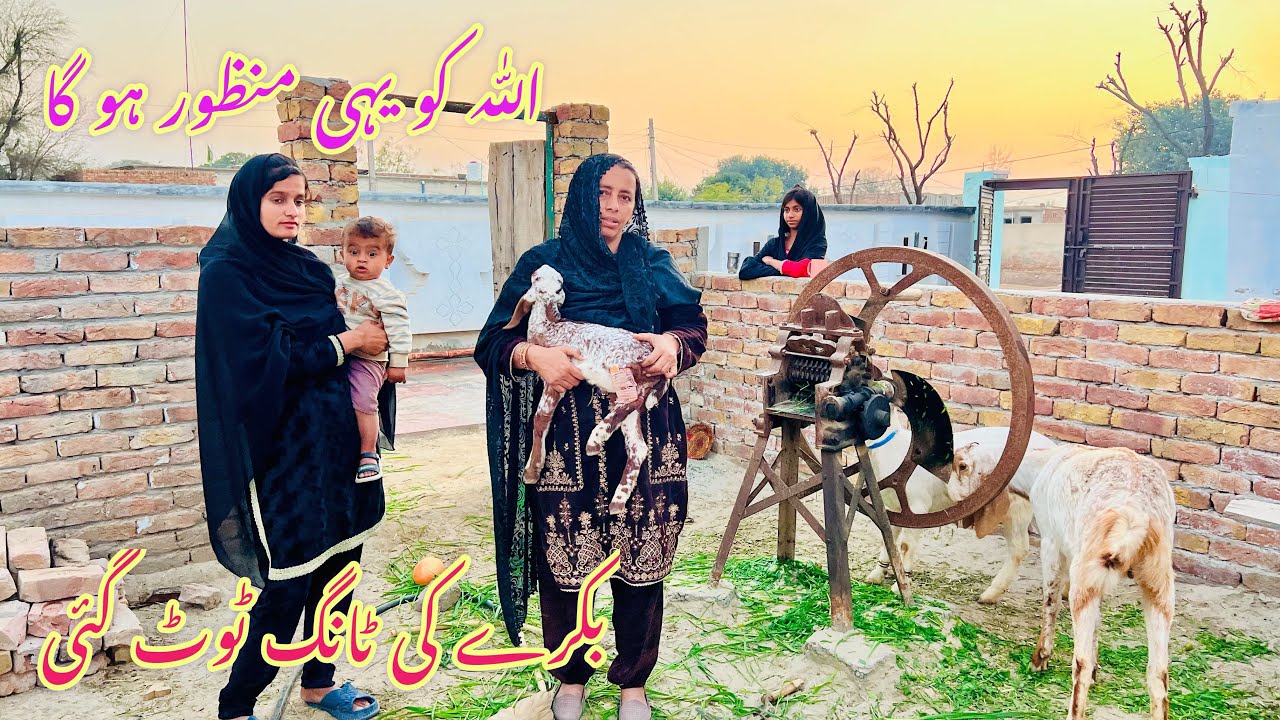 Allah nay baray nuqsan say bacha lia 🙏