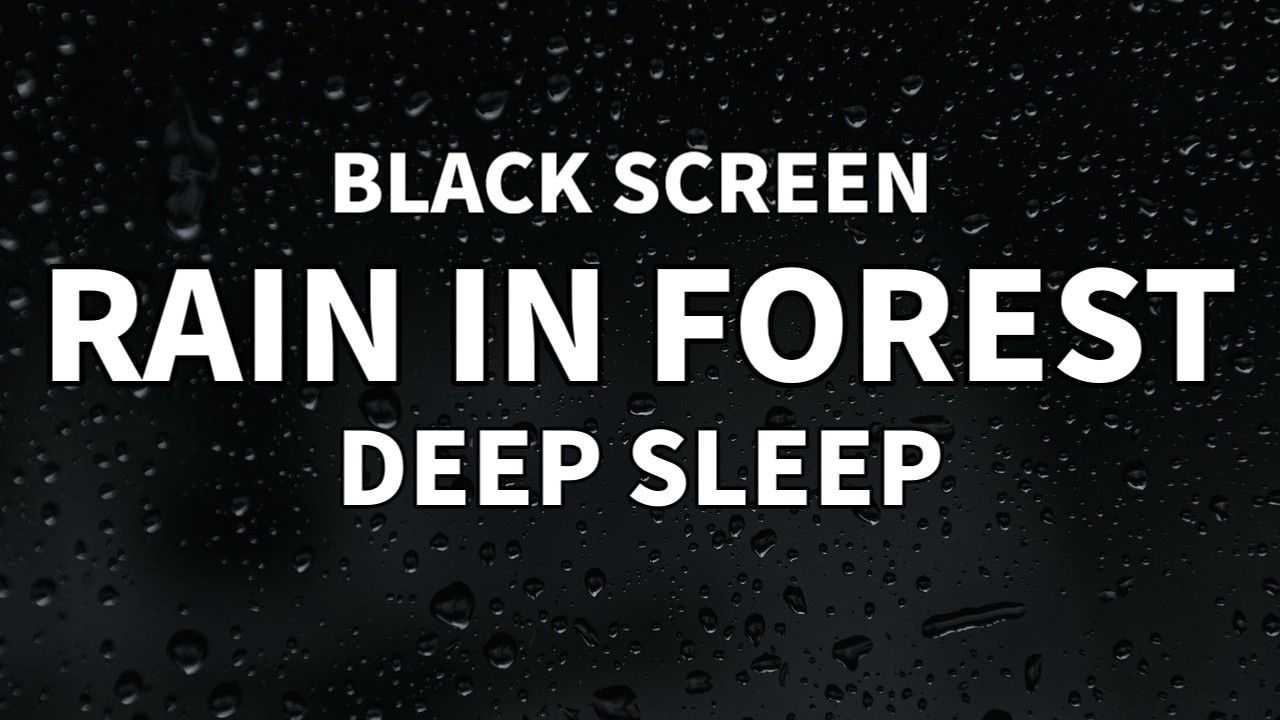 Black Screen Rain in Forest for Sleep (8 Hours, No Thunder) | Dark Screen Rain Sounds with Wind