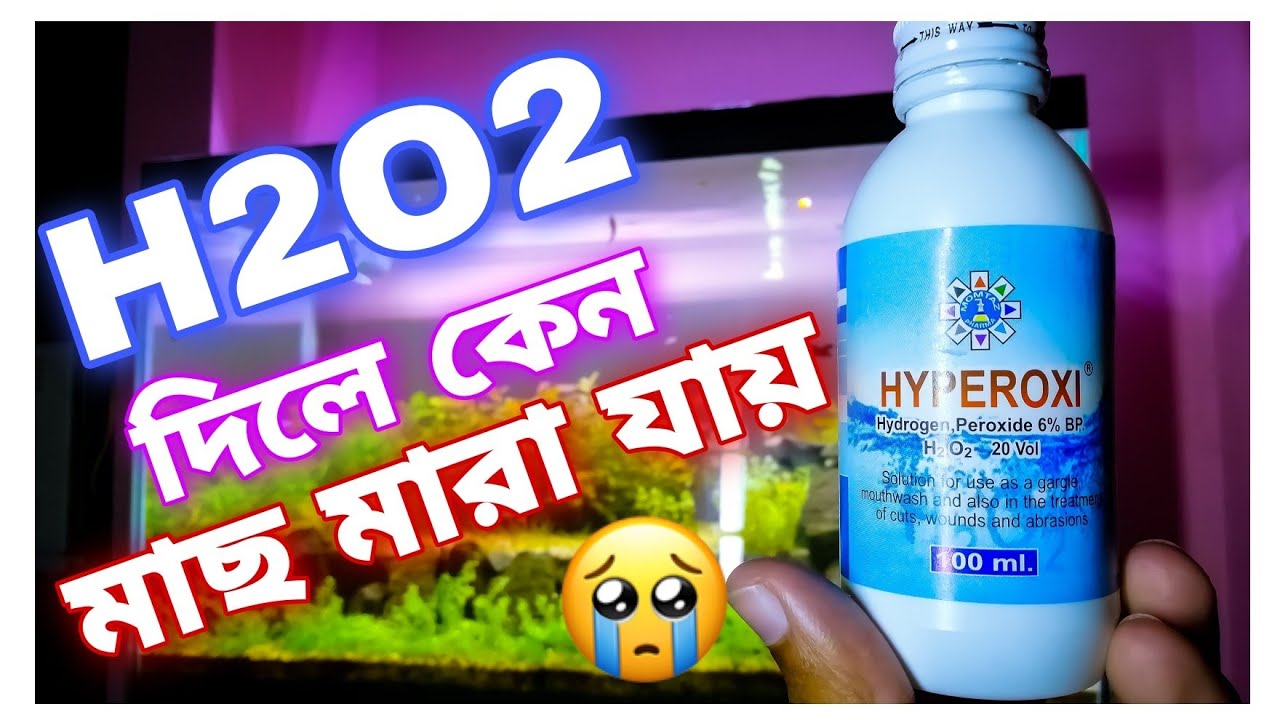 Why Fishes Are Dieing For Adding Hydrogen Peroxide/h2o2