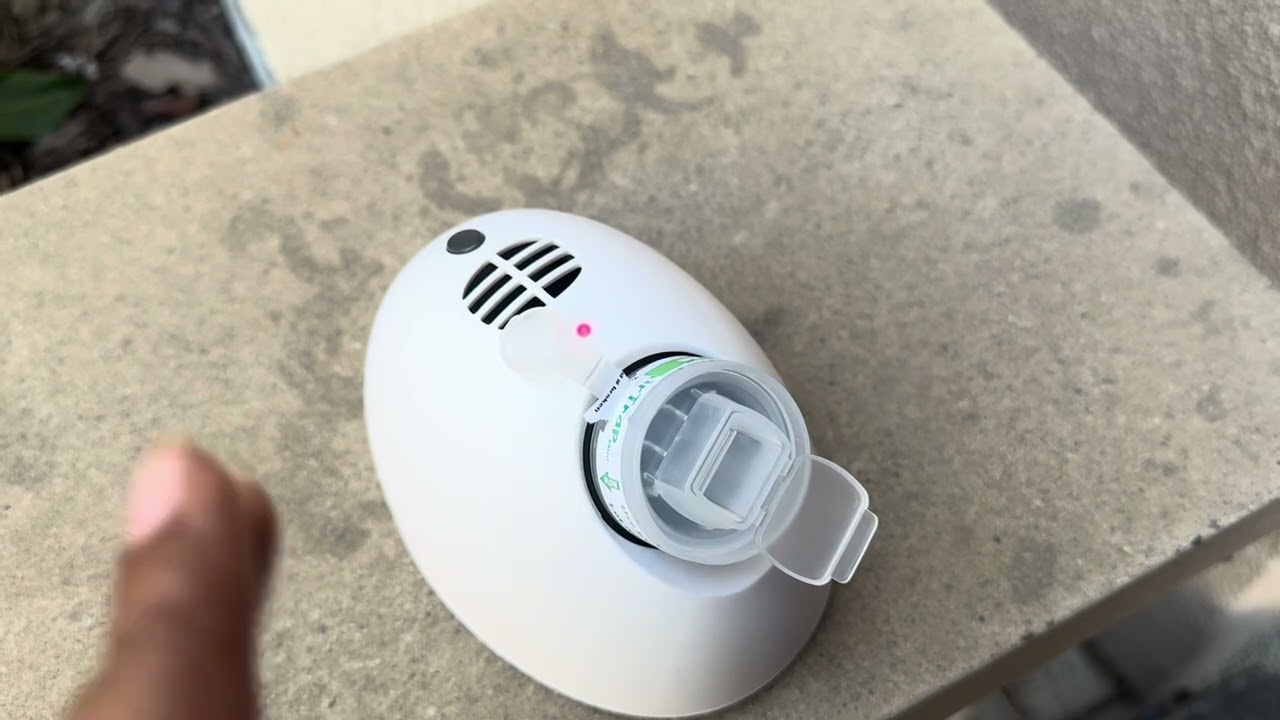Mold Test Kits for Home