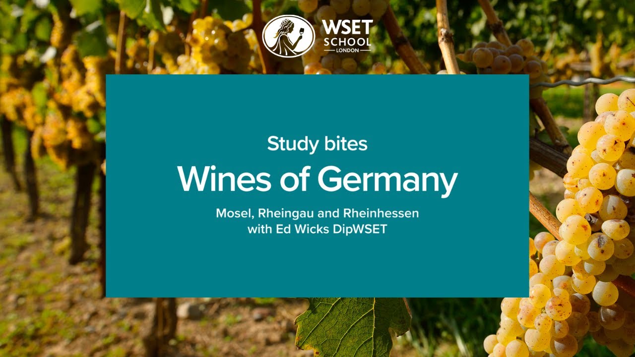 Study bites: wines of Germany (WSET Level 3 wine)