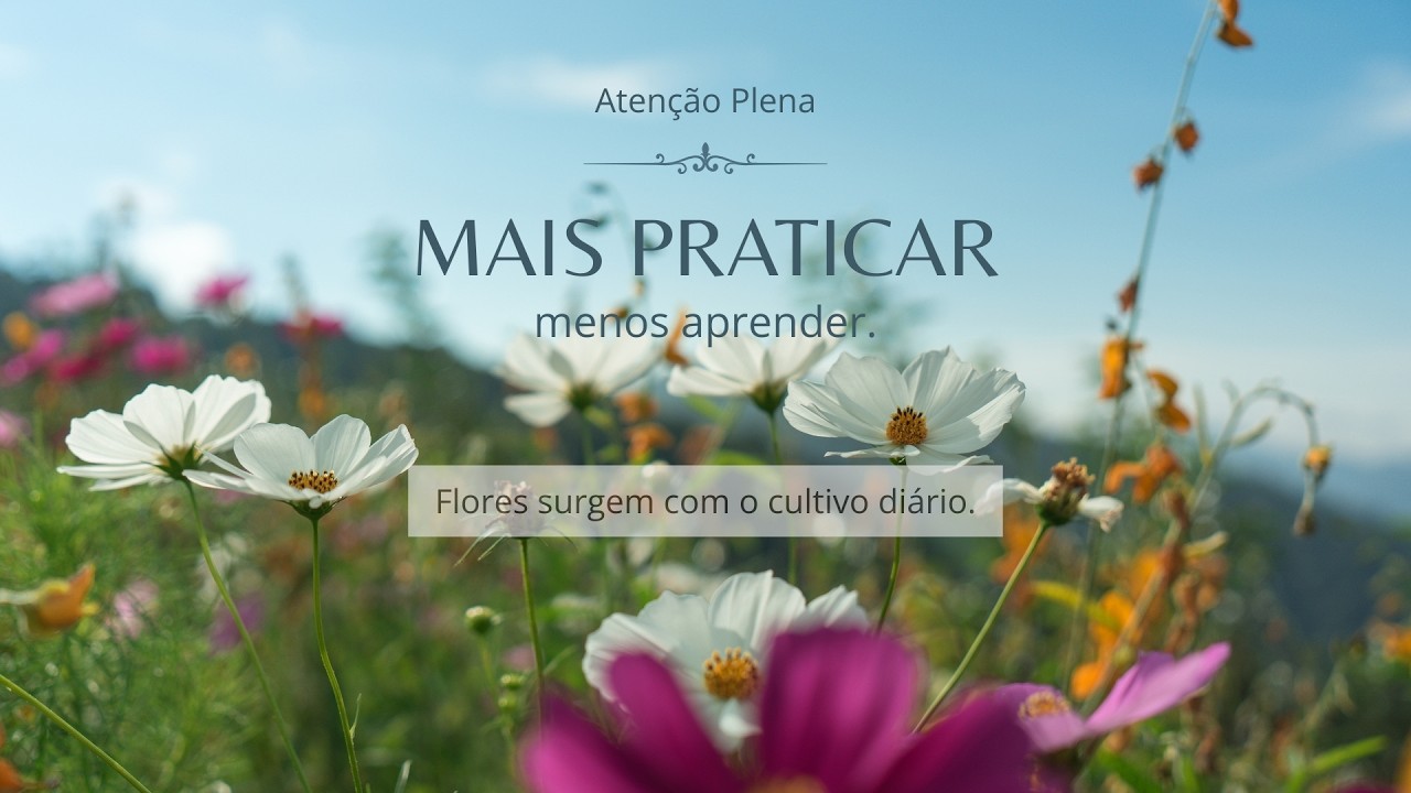 Reflexões práticas sobre meditação e atenção plena | Para iniciantes e praticantes