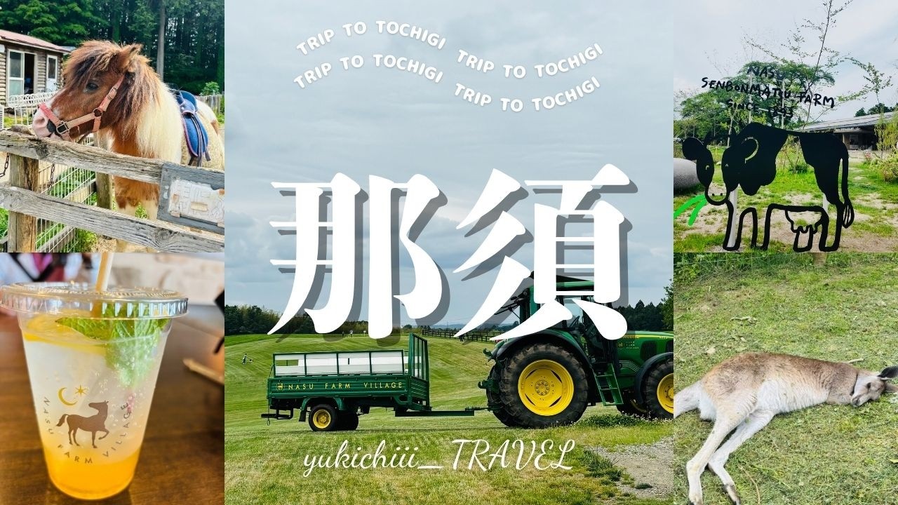 【栃木/那須】栃木旅行✈️那須vlog‼️那須を１日満喫モデルプラン✨