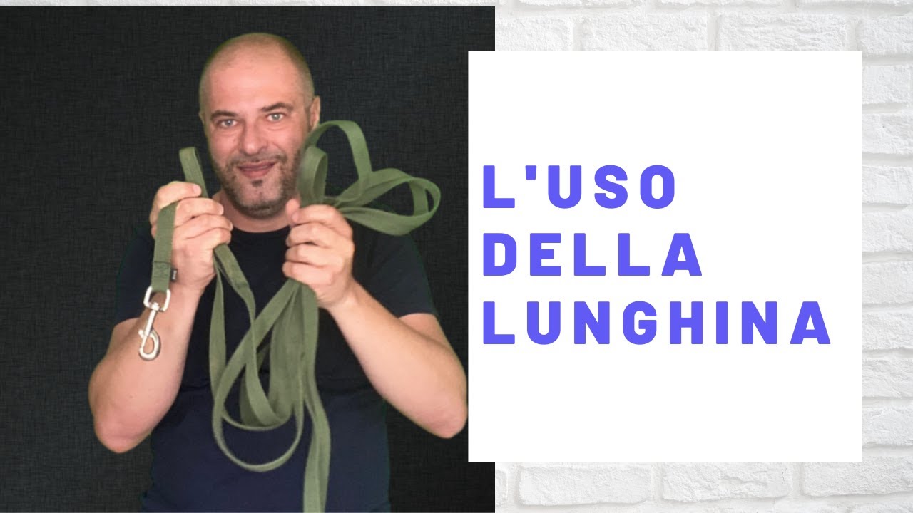 Il  mio cane non torna al richiamo- L'uso della lunghina|Affinitydog