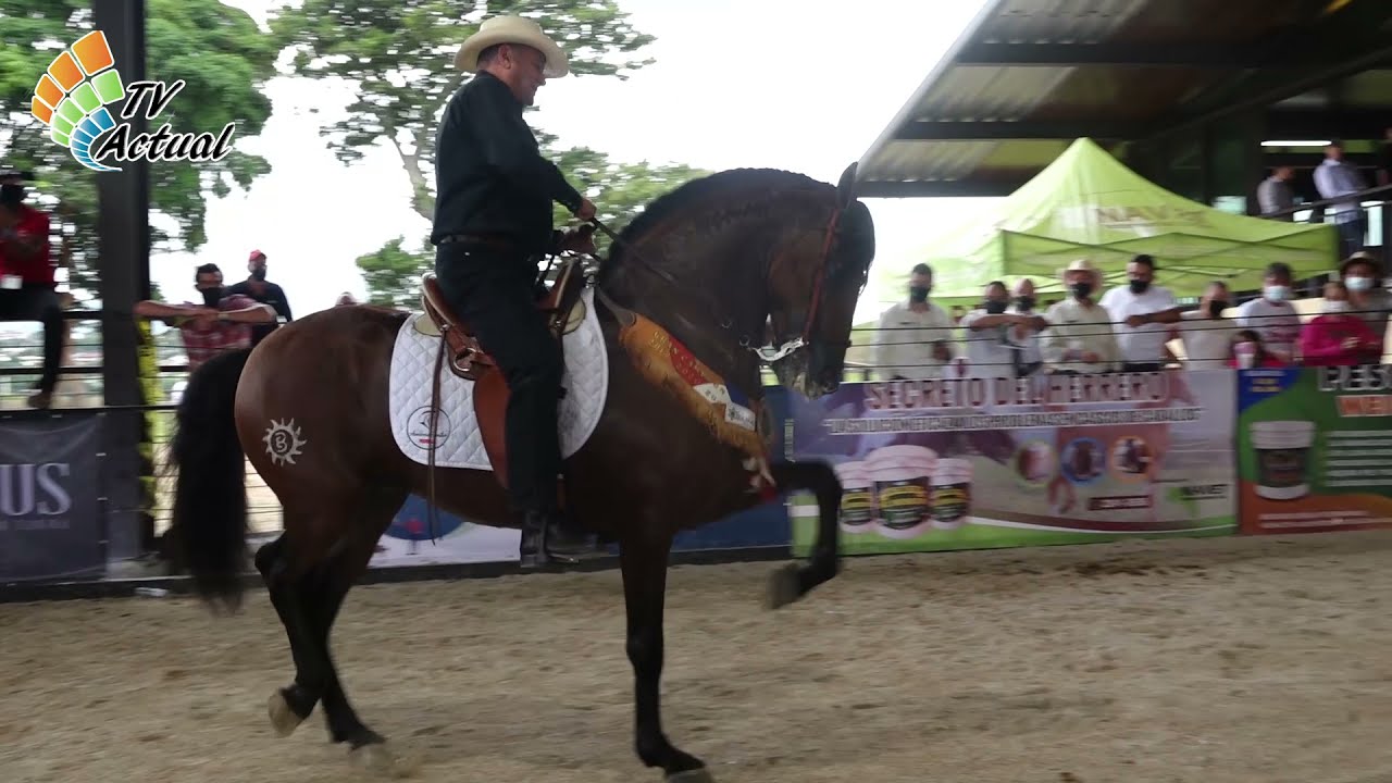 Caballo Laureado