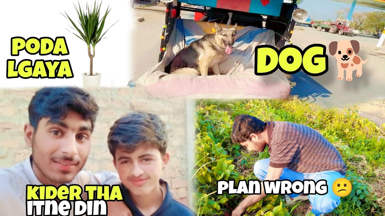 Sufyan kider tha itne din | planing gown wrong 😕| Ali family 01 