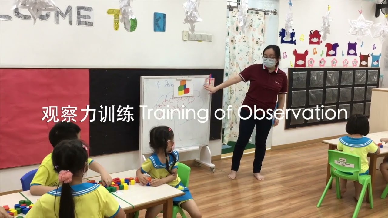 🧠 Shenmo 6F Whole Brain Training | Scientific &times; Fun &times; Effective