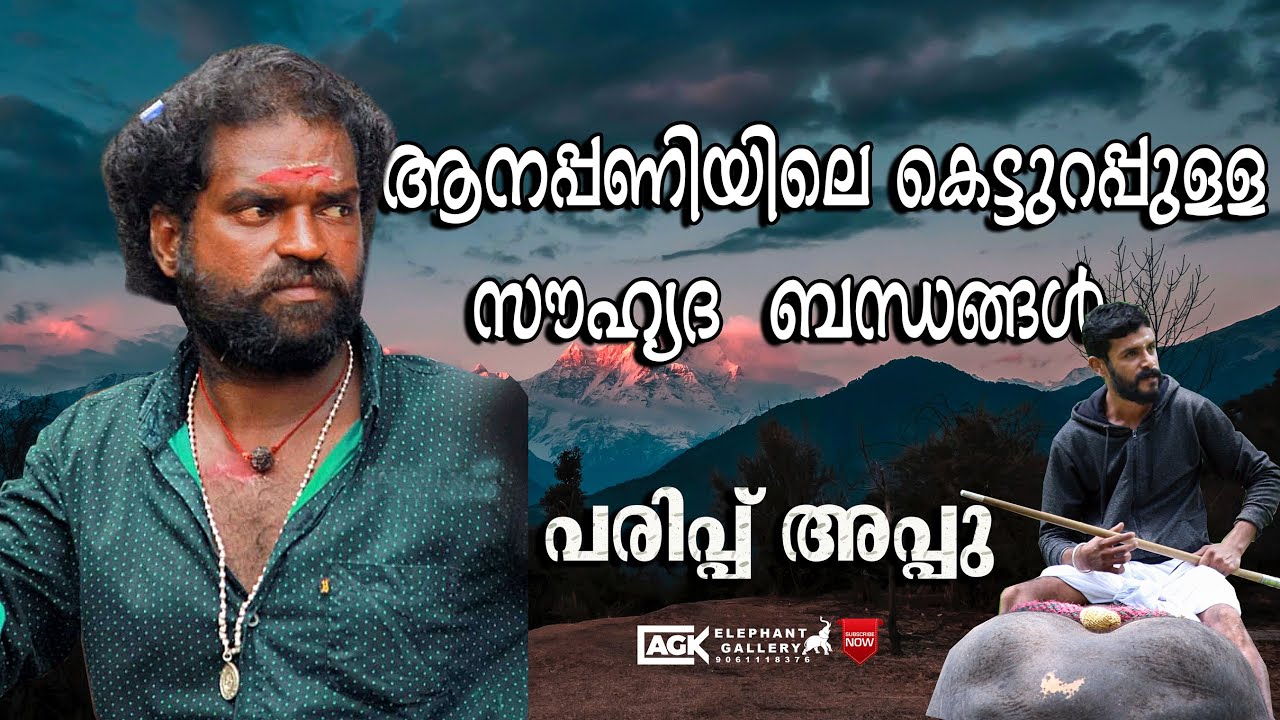 ആനപ്പണിയിലെ കെട്ടുറപ്പുള്ള സൗഹൃദ ബന്ധങ്ങൾ |പരിപ്പ് അപ്പു I LAST EPISODE