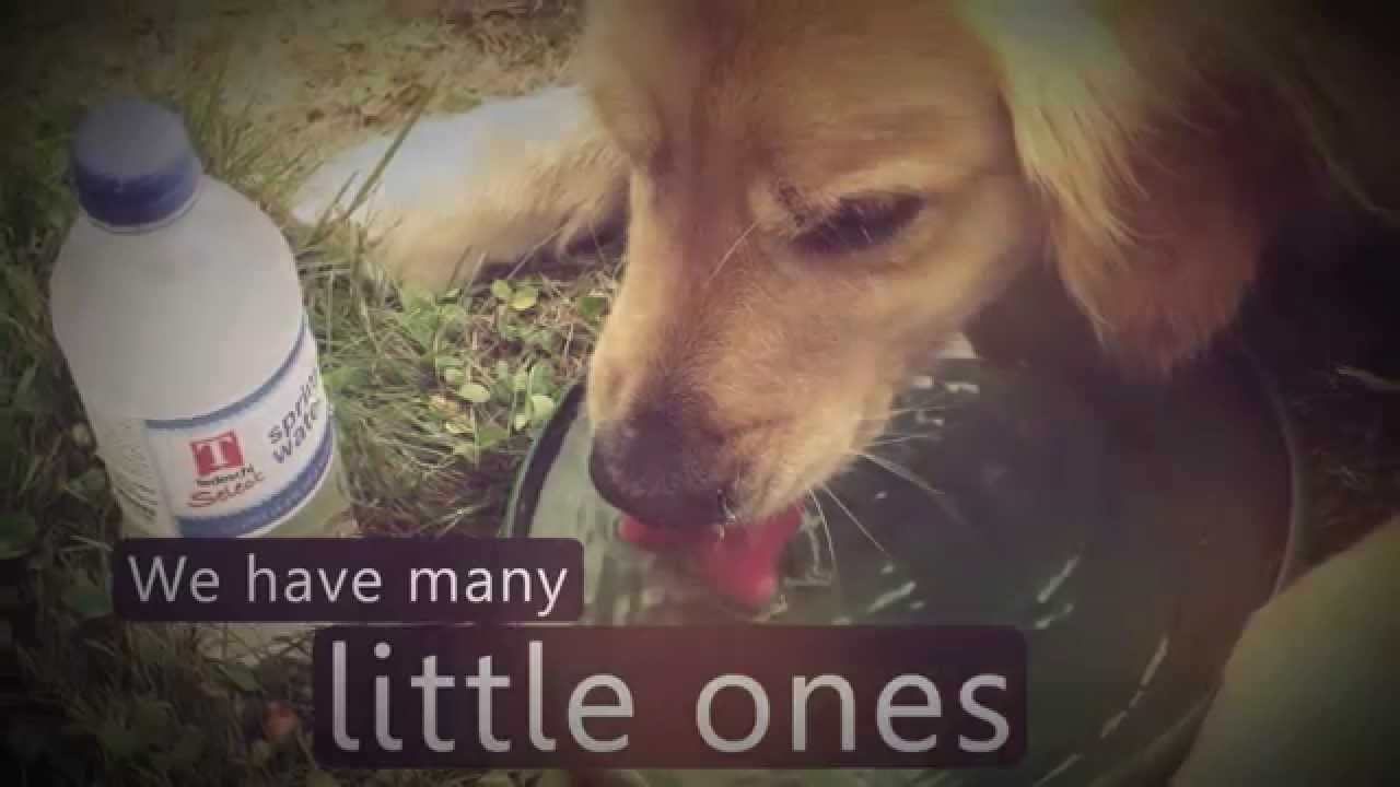 Little Moments | Commercial