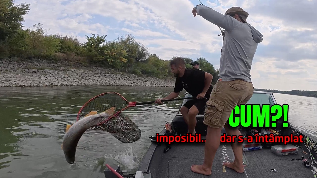 Totul s-a schimbat în 5 cm... O DATĂ-N VIAȚĂ