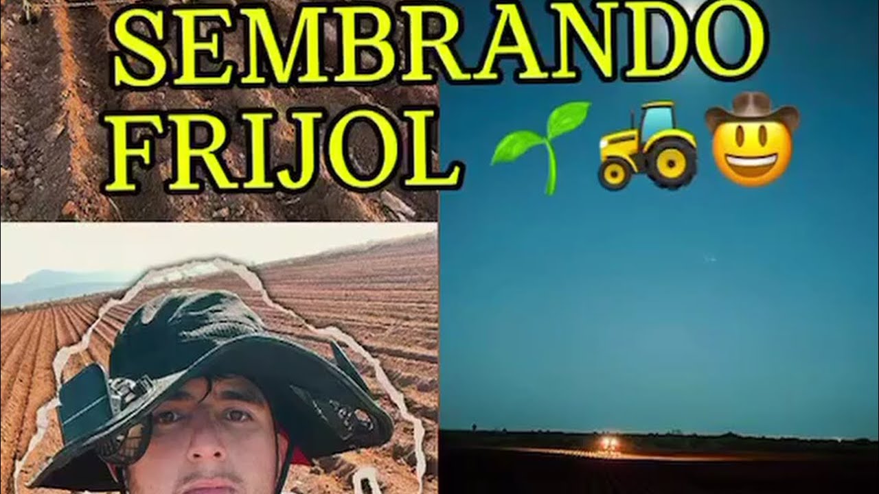 SEMBRANDO FRIJOL 25/26 🌱🫘🚜🤠  |Juandiego Cardenas.|