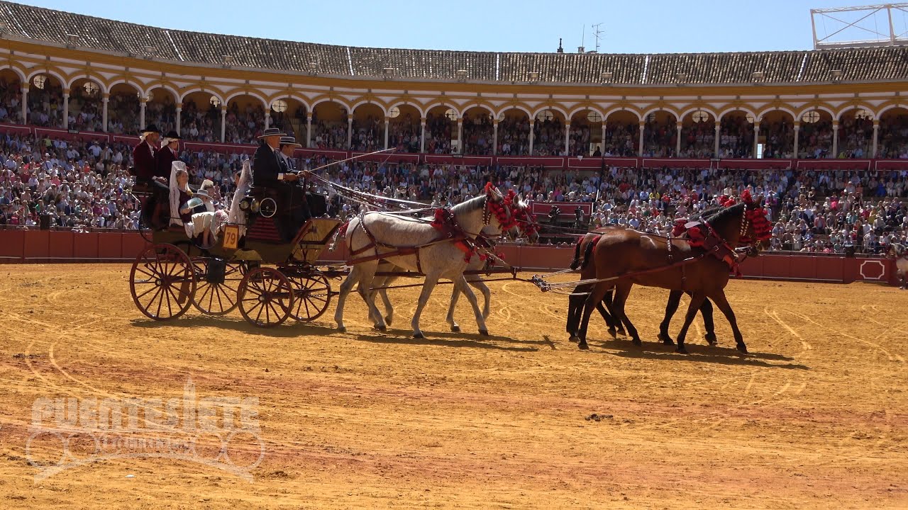 (3/3).- XXXVIII Exhibición de Enganches. Plaza de Toros de la Real Maestranza de Caballería.