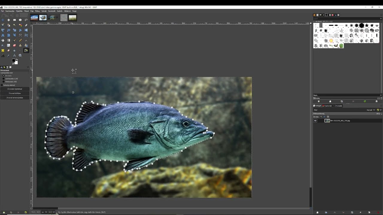 Háttér törlése GIMP-ben NÉGY féle módszerrel