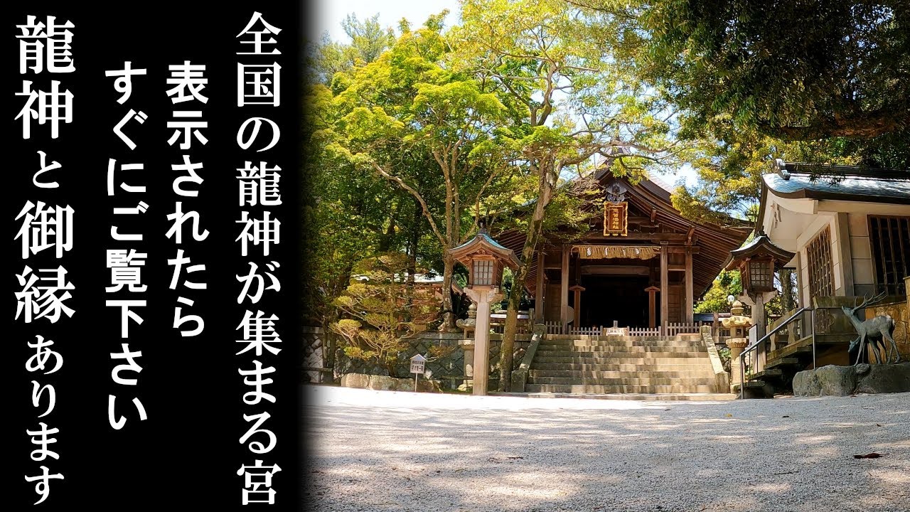⚠️龍神様と御縁があります※海神の総本宮。龍の都。ワタツミ神の恩恵で次々と良い事が起こり始めます。もし逃したら二度とありません｜志賀海神社遠隔参拝134