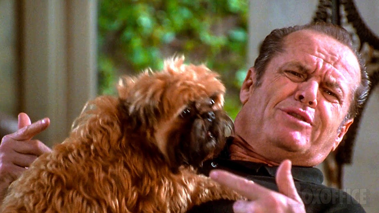 OCD Jack Nicholson is forced to Dogsit  | As Good as It Gets | CLIP