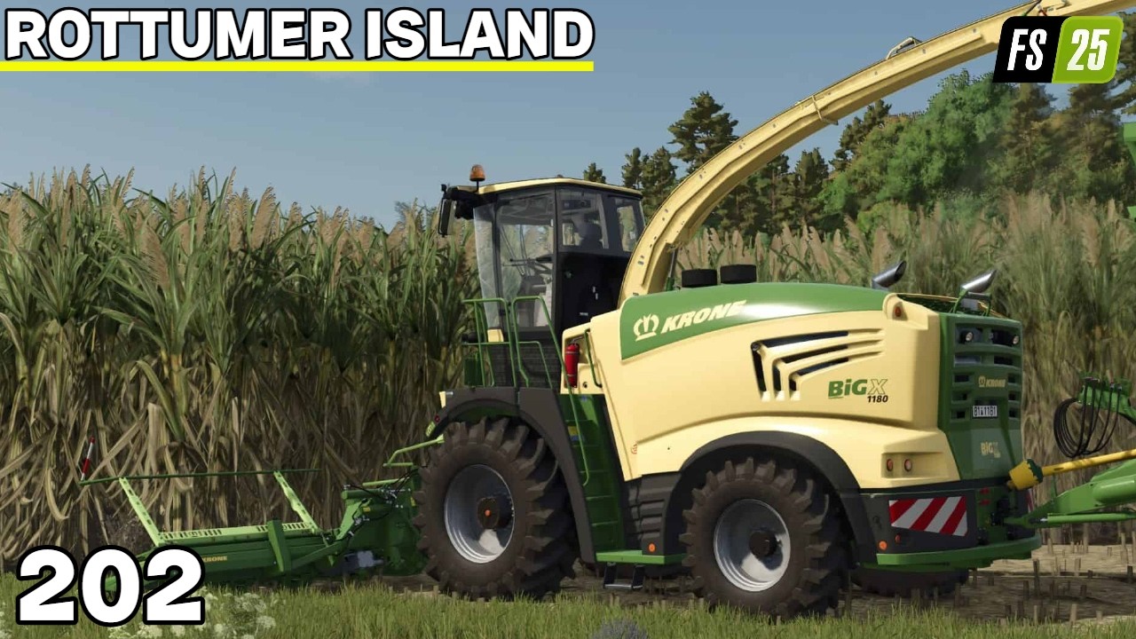 Suikerriet Hakselen Voor In De Nieuwe Suikerfabriek | Rottumer Island 