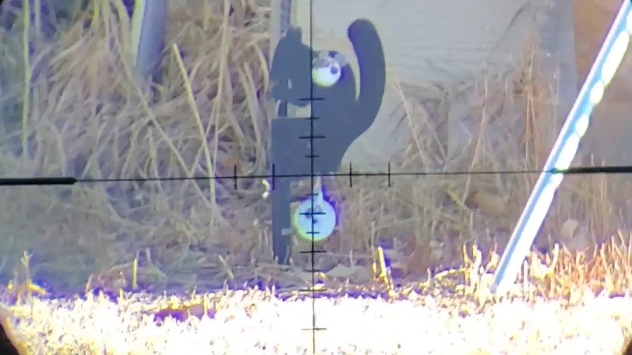 First ScopeCam Test