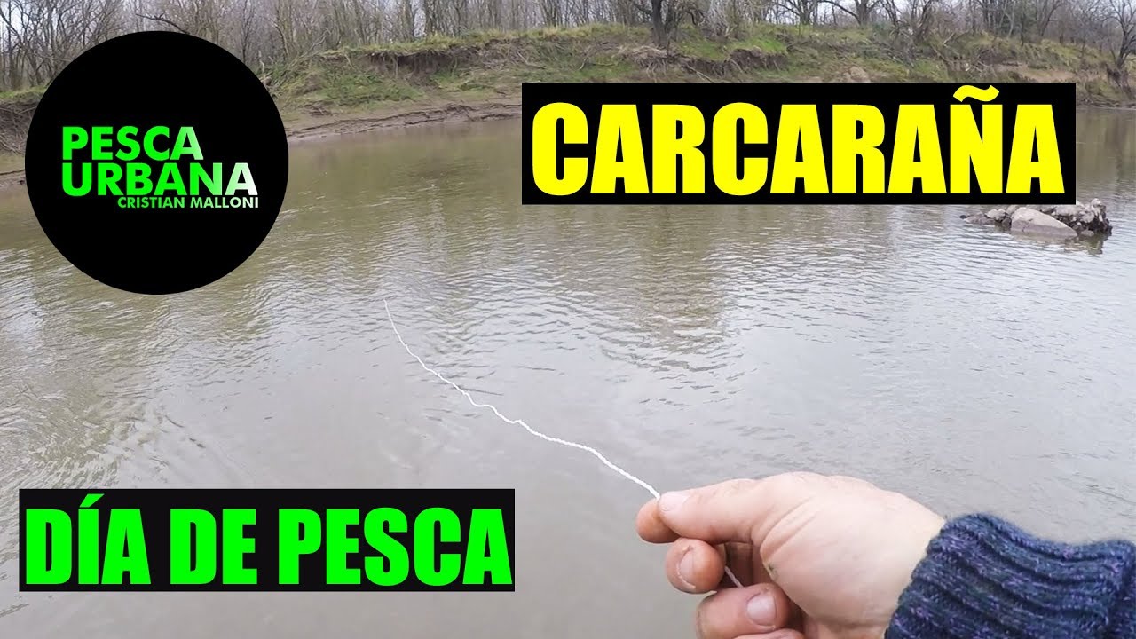 D&iacute;a de pesca, pescando con masa