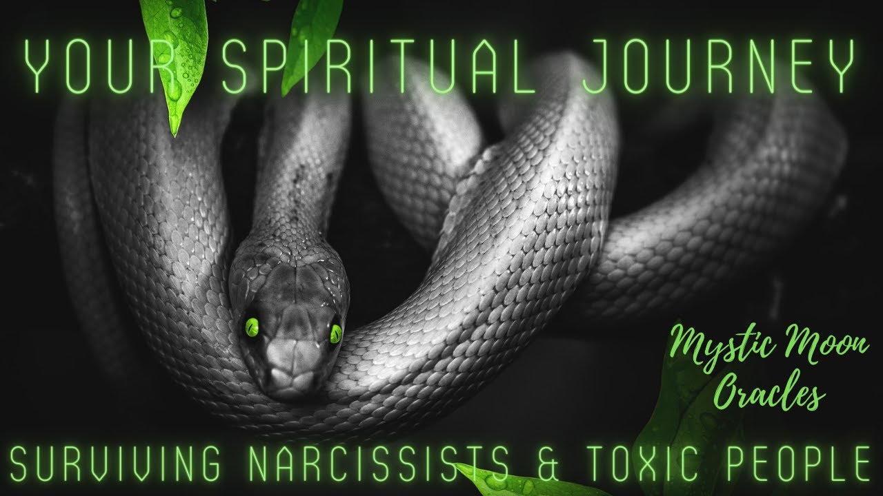 Your Spiritual Journey - Surviving Narcissistic People & Refusing Crap Crumbs - Empowering Messages