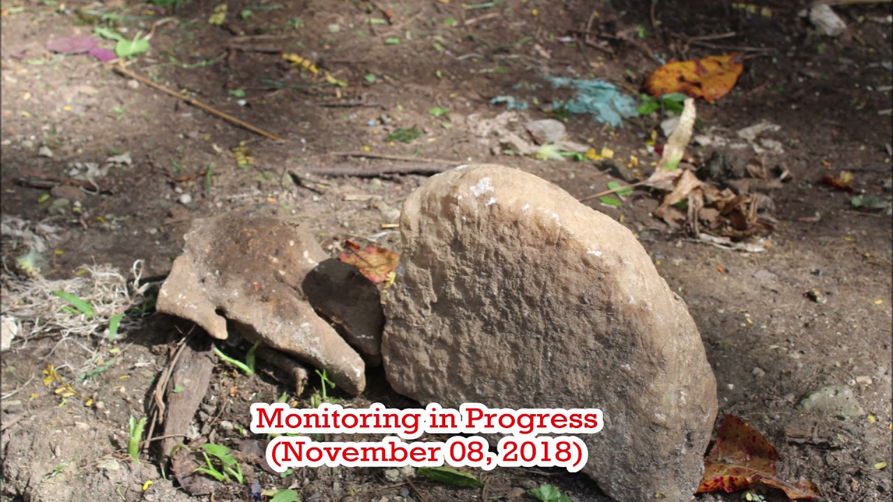 Btelulachang Er a Kemurrull Me a Taoch er a Ngiteuai Site Rehabilitation and Conservation Project