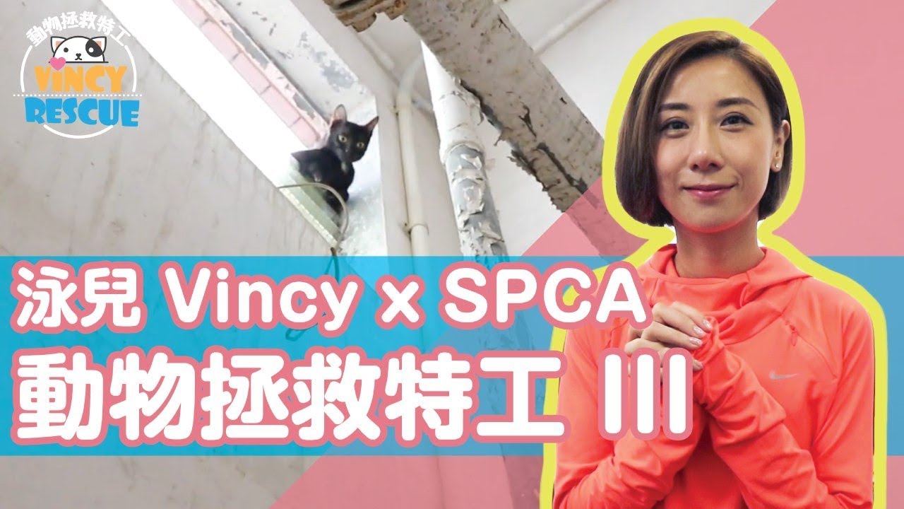 泳兒 Vincy x SPCA - 動物拯救特工 (III)