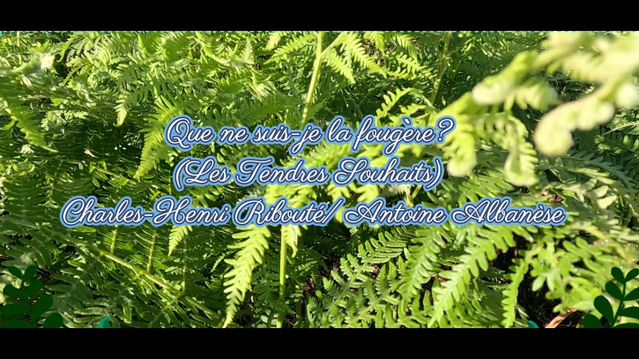 Que ne suis-je la fougère? (Les Tendres Souhaits) Charles-Henri Ribouté/ Antoine Albanèse