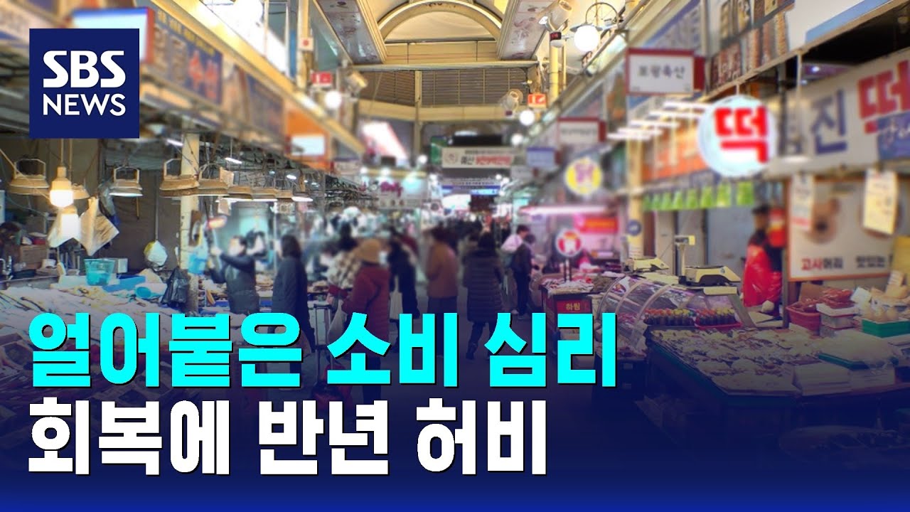 얼어붙은 소비 심리&hellip;회복에 반년 허비 / SBS