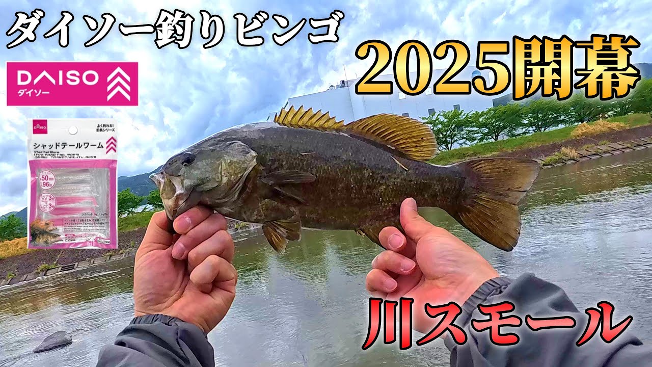 #11 B×D企画 ダイソー釣りビンゴ まだやりまっせ 2025開幕！