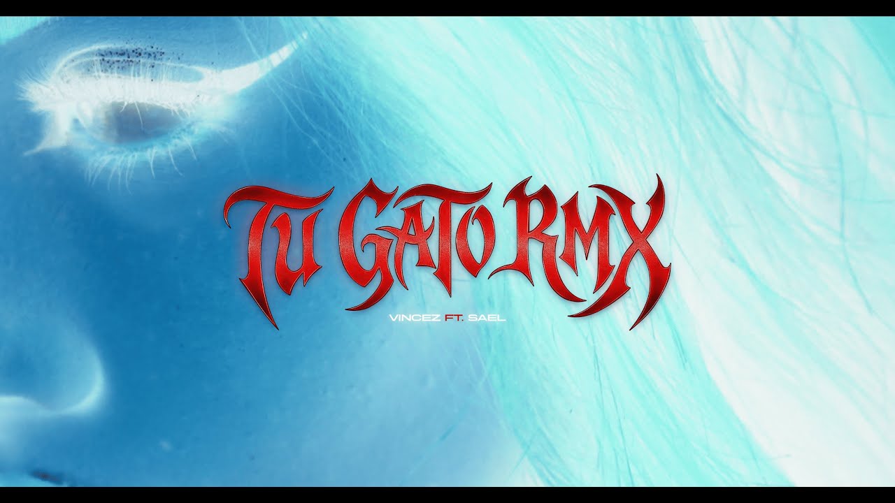 TU GATO 🐈‍⬛💕 (REMIX) | VINCEZ & SAEL