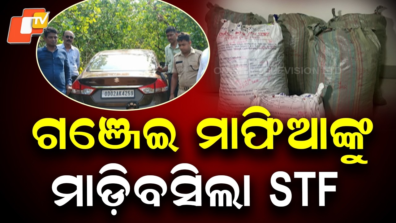 STF Seizes Over 1 Quintal Ganja, Arrests 3 Interstate Drug Traffickers